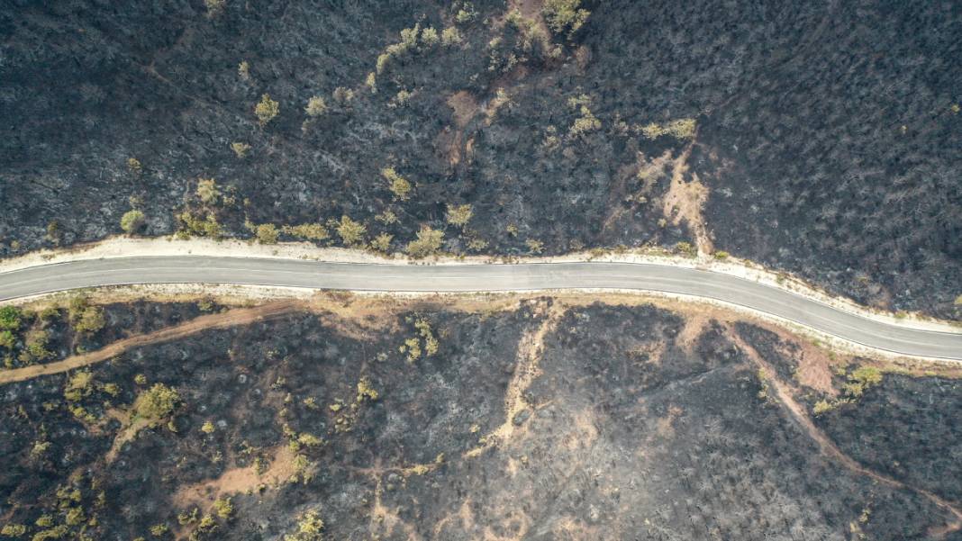 Sakarya'da başlayan yangın kontrolden çıktı: Bilecik'in ormanları siyaha büründü 12